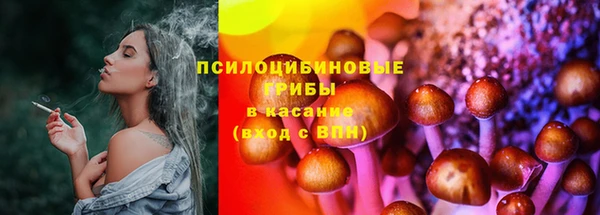 PSILOCYBIN Белокуриха