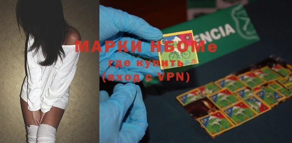 PSILOCYBIN Белокуриха