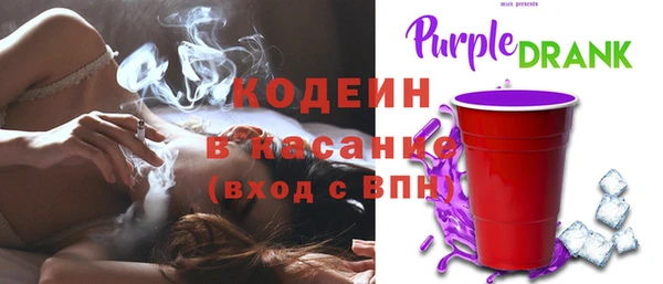 PSILOCYBIN Белокуриха