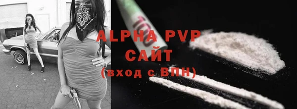 PSILOCYBIN Белокуриха