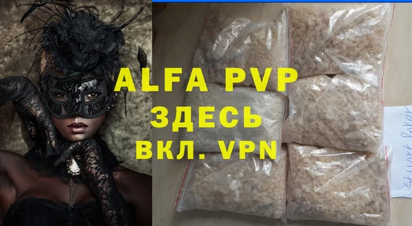 PSILOCYBIN Белокуриха