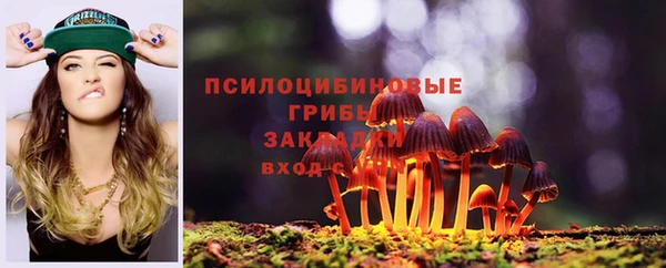 PSILOCYBIN Белокуриха