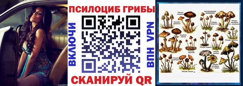 Псилоцибиновые грибы MAGIC MUSHROOMS  Всеволожск 
